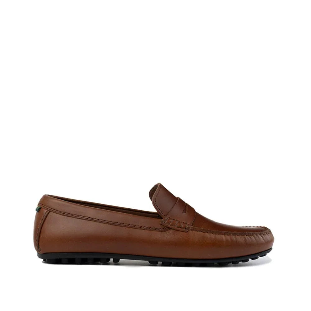 Ardent Men's Penny Loafer